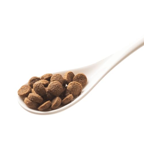 GranataPet Mini Royal Geflügel, Trockenfutter für Hunde, Hundefutter ohne Getreide & ohne Zuckerzusatz, Alleinfuttermittel für ausgewachsene Hunde, 1 kg