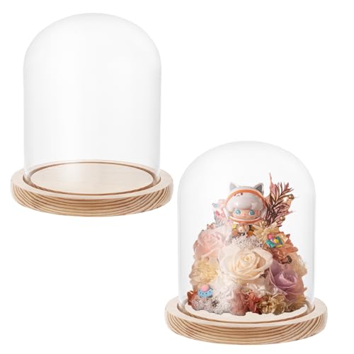 AKOLAFE Lot de 2 Cloche Dôme en Verre 12x16cm Cloche En Verre 16 cm Hauteur Cloche en Verre avec Socle Transparent Cloche en Verres Décorative pour Poupées,...