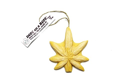 Soap, Last Minute Gifts, BEST Stocking Stuffer, Gifts for Him, Gifts for Her, Funny Gifts, Secret Santa Gifts, Novelty Gift, Soap on a Rope, Hemp Soap