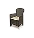 ipae progarden Poltrona Folia C/C Antracite immagine