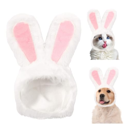 【Facile da Indossare】 - Questo costume per cane cappello ha un design con velcro per una facile regolazione, garantendo una vestibilità comoda per gatti, cani di piccola taglia e altri piccoli animali domestici. È stabile e non scivolerà facilmente via, così il tuo animale può giocare senza preoccupazioni. È anche facile da pulire: basta lavarlo a mano o in lavatrice per tenerlo fresco.