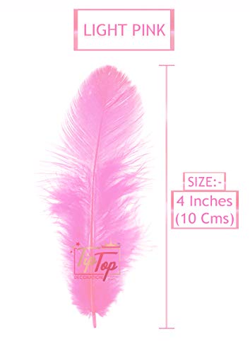 Image of Natural Dyed Feathers 10 cm (80 pieces) (Light Pink)