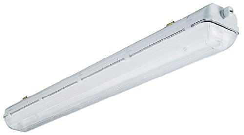 Lithonia Lighting XWL232 MV 4-Feet 32W T8 Wet Location Industrial Enclosed and Gasketed Fluorescent Fixture, Grey