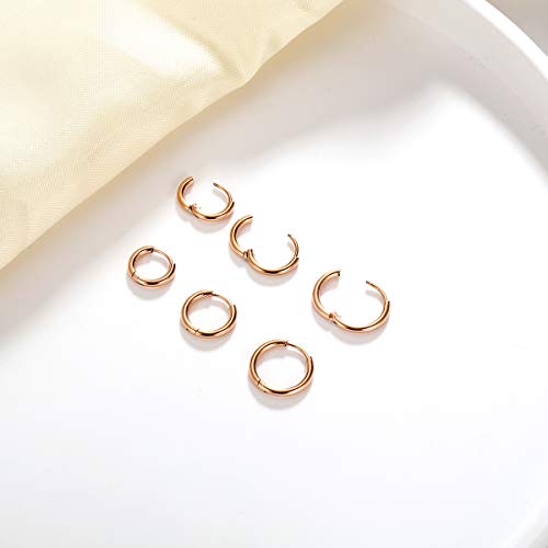 Surgical Stainless Steel Hoop Earrings 8Mm/10Mm/12Mm Small Huggie Hoop Earrings For Women And Men (I: Rose Gold (Diameter 8Mm/10Mm/12Mm),3 Pairs) #TOP1