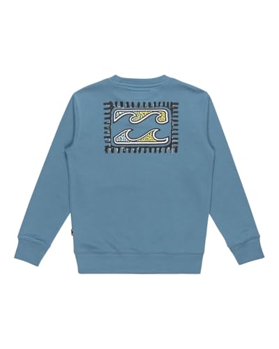Sudadera Billabong Foundation para chicos de 8 a 16 años con capucha 2