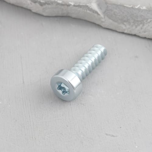 Pack de 10 tornillos autorroscantes M5.3x18 mm cabeza pan miniatura 5