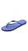 Havaianas Women's Top Flip Flop