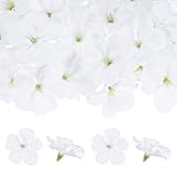 M METERXITY 50 Pack Têtes De Fleurs D'Orchidées Artificielles, Fausses Têtes De Fleurs D'Orchidées en Soie pour DIY Artisanat/Robe/Mariage/Décoration De Fête [Blanc, 2.2