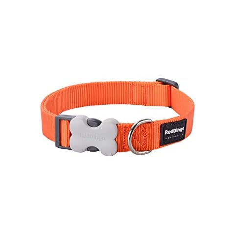 Red Dingo Bucklebone Dog Collar Plain, Orange, Medium 20mm Cover