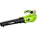 Produktbild Fieldmann Akku-Laubbläser FZF 70605-0