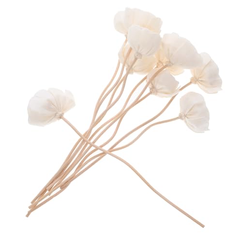 Palitos secados para difusor, 10 piezas para hogar miniatura 1