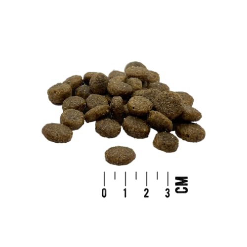 MAC's Dog Mono Senior/Light | 750 g | Getreidefreies Trockenfutter für ältere oder übergewichtige Hunde | Mit Truthahn & Süßkartoffel | Geeignet für allergieanfällige Hunde