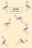  Agenda Menstrual: Calendario Para Ciclo Menstrual / Periodo Diario / Espanol / Para Escribir En / 12 Meses / Mi Primera Menstruacion / Diseño Flamenco