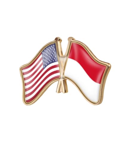 Image of World Most Countries Single Pin Brooch Badge United States USA America and Other Countries Cross Friendship Pin Badge for Men Women