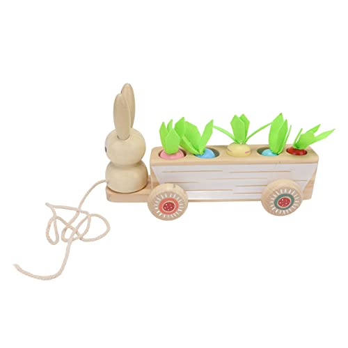 Omquot Educational Radish Wooden for All Little Ones, Matching Car Toy, Safe and Sturdy, 5 Radish Improve Space Capacity for Home Use, Pine Material