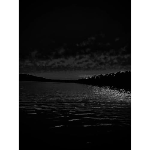 Above The Confusion cover art