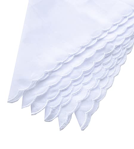La Closure Women's Pretty Embroidery White Handkerchief Hankies #TOP4