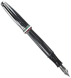 Monteverde USA Aldo Domani Italia Fountain Pen Mirror...