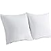 Produktbild Downcy Premium Natural White Feather and Down Pillows, Medium Support, 80X80cm Set of 2