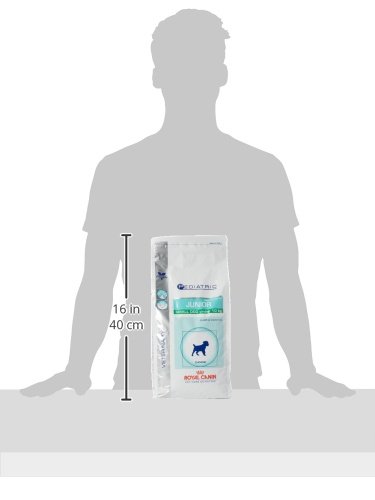 Royal Canin Junior Small Dog Digest & Dental Trockenfutter Hund- Für Hundewelpen Kleiner Rassen 2kg