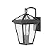 Hinkley Alford Place Collection Two Light Small Outdoor Wall Mount Lantern, Museum Black