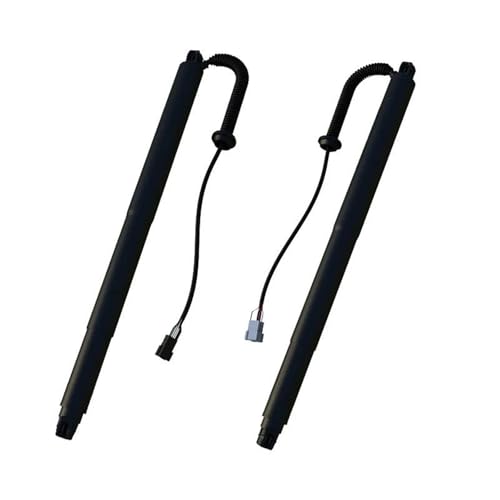 Vérins de hayon électriques BMW X6 F16 2015-2019, tige support hydraulique coffre 51247434043