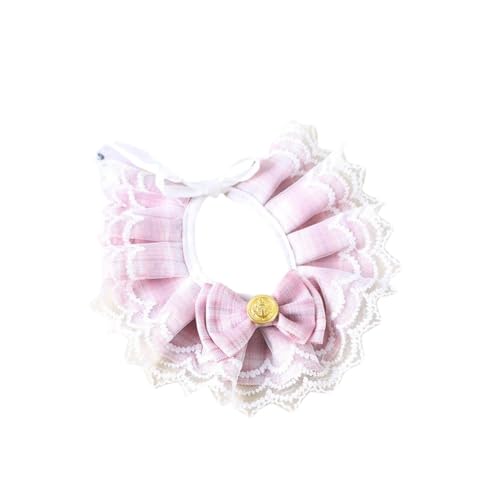 DiexgiLp{[XցAvZXX^CAtnK[AփANZT[iʐ^BeAp[eB[AMtgɍœKj (XS,ysNzXgCv)