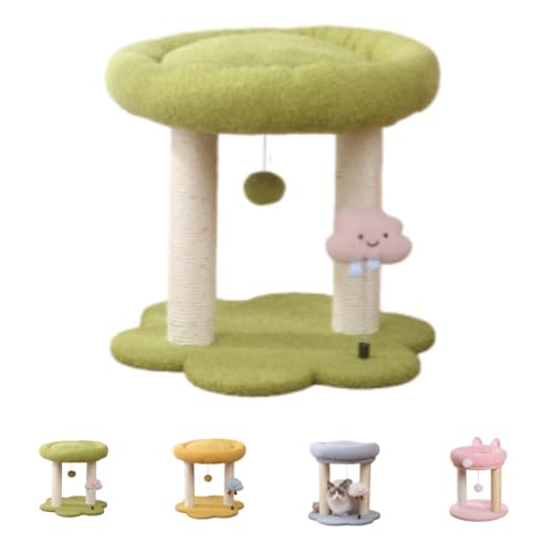 SandqvipaL܂Ƃ܁ALbg^[~jA2KĔL̎AVRAgݗĂ₷AȃXy[XAA||A킢ybgpi (O[)