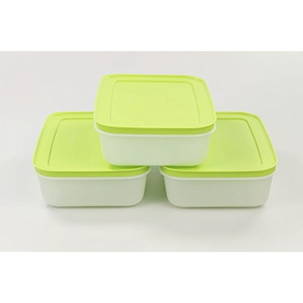TUPPERWARE Vriesbak (3) ijskristal ijskristal 1,0 L groen-wit plat 29739
