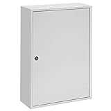 5 Star - Armario para llaves con ganchos de acero (30 unidades), colores surtidos