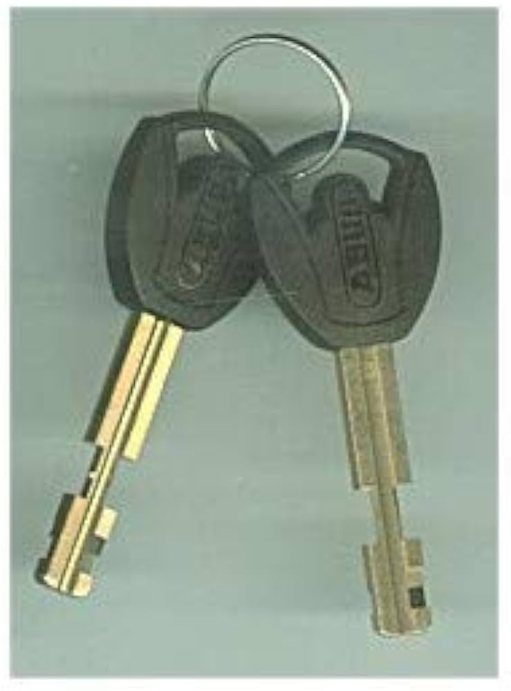 Amazon.com: ABUS 07238 Chrome Padlock 88/40 40 mm : Sports & Outdoors