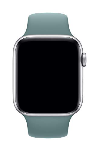 Image of Apple Watch Sport Band (44mm) - Cactus - Regular
