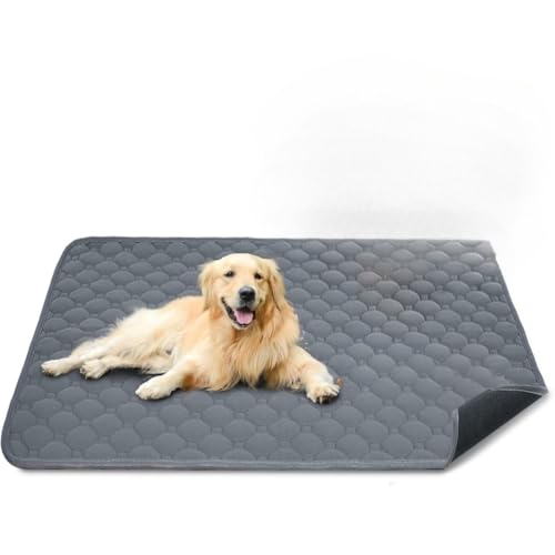 MCSWSEE 􂦂ybgV[c ld\Ŗh Rh~|ybgp}bg Ƃ  L ~ߋ@\tA^ ^V[c ƂĐ@Ŋې􂢉\ (O[,L)