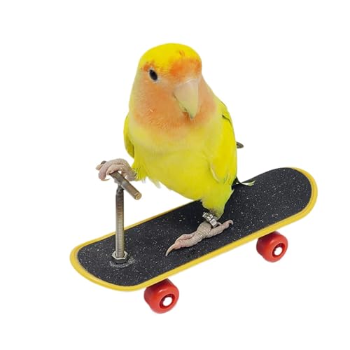 Parrot Skateboard, jouet d'entraînement intelligent, mini planche à roulettes avec perche stable, kit de construction en bois léger, design d'apprentissage...