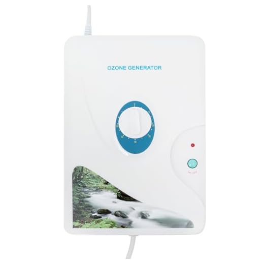 Generador de ozono digital de 600 mg/h, generador de ozono digital, máquinas de desintoxicación de ozono, ozono portátil con temporizador, dispositivo de ozono para agua, frutas y verduras