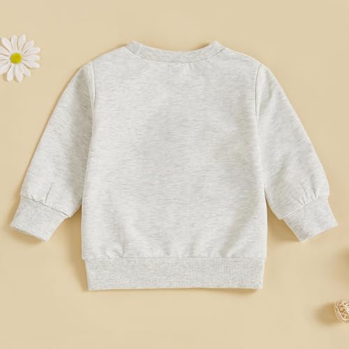 Toddler Boys Sweatshirts Crewneck Excavator/Truck Embroidery Long Sleeve Pullover Tops Cartoon Tees 3M-3Y4