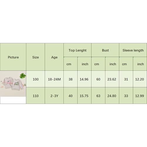 XIXIMAON Two Year Old Birthday Sweatshirt Baby Boys Girls Letter Dinosaur Print Crew Neck Long Sleeve Pullover Toddler Baby 2nd Birthday Jumper Fall Infants Clothes (Khaki, 2-3 Years) - Image 6