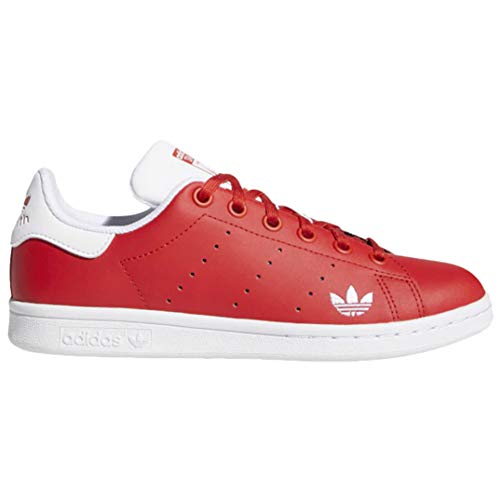 adidas Stan Smith J Big Kids Casual Shoes Fw2041 Size