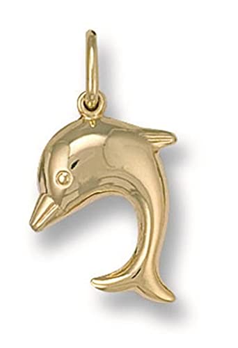 Ah! JewelleryDolphin Pendant 25mm 9ct Yellow Gold