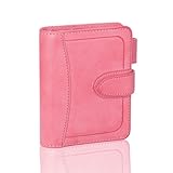 レイメイ藤井 システム手帳 ダヴィンチ ロロマクラシック ロロマホック 限定 ミニ5サイズ 16mmリング 本革 コーラル DPM1414CL