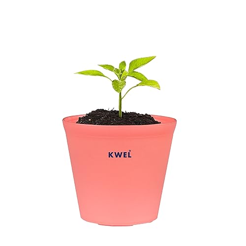 Image of KWEL N Pot for Home Garden, Peach Color, Pack of 24 | Planters for Outdoor Balcony, Nursery Use, Flower Planting