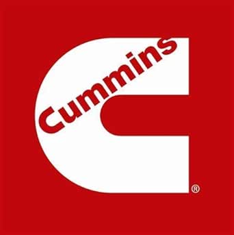 Amazon.com: Genuine Cummins 109080 SEAL,O RING : Automotive