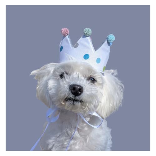 Personalisierte handgemachte Hundekrone - Individuelle Krone für besondere Anlässe, Klein, weiß mit bunten Punkten