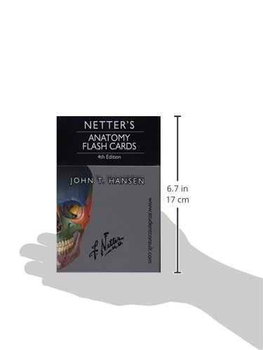 Netter's Anatomy Flash Cards: With Online Student Consult Access (Netter Basic Science) #TOP4