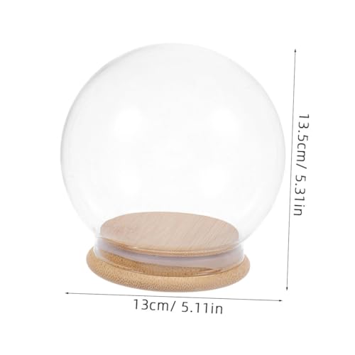 Cúpula de vidrio transparente con base de madera IMIKEYA para plantas 3