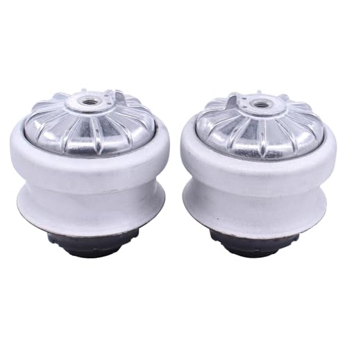 ApplianPar Front Left and Right Engine Motor Mount for Mercedes 190D 190E 260E 300CE 300D 300E 300TD 300TE E300 E320 W124 W201 2Pcs