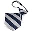 Navy Blue and Silver Striped