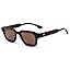 Tortoise/Polarized Brown Lens
