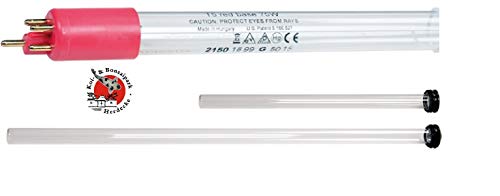 xclear kwartsglas + Lamp 40 W Cover