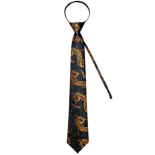 Image of DiBanGu Mens Zipper Ties Silk Adjustable Necktie Pocket Square